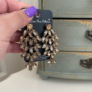 NWT Sparking Dangling Earrings